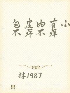 包皮内有小肉粒不疼不痒