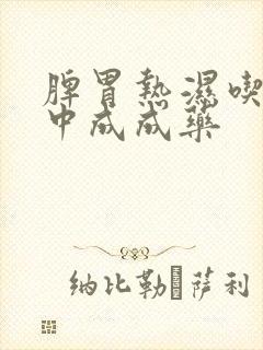 脾胃热湿吃什么中成成药封面