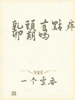 乳头有点疼是排卵期吗