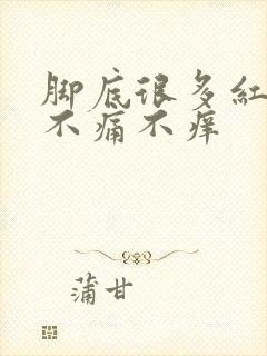 脚底很多红点点不痛不痒