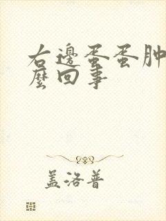 右边蛋蛋肿痛怎么回事