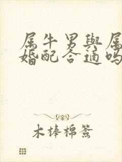 属牛男与属龙女婚配合适吗