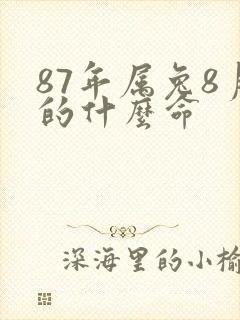 87年属兔8月的什么命