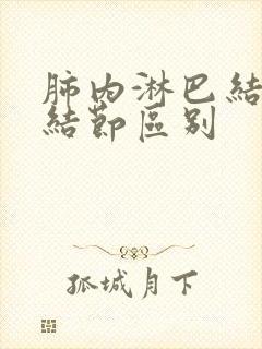 肺内淋巴结和肺结节区别