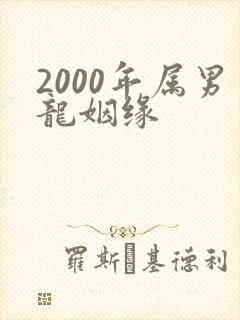 2000年属男龙姻缘封面