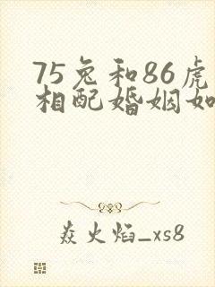 75兔和86虎相配婚姻如何
