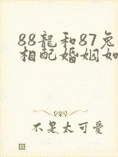 88龙和87兔相配婚姻如何封面