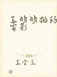 王明明拍的所有电影封面