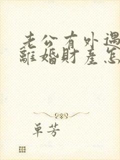 老公有外遇起诉离婚财产怎么分割