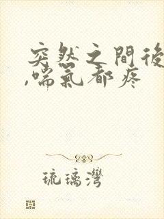 突然之间后背疼,喘气都疼封面