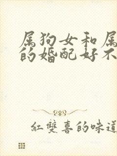 属狗女和属羊男的婚配好不好