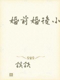婚前婚后小说封面