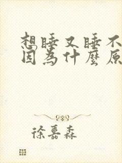 想睡又睡不着是因为什么原因