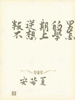 叛逆期的男孩子不想上学怎么办