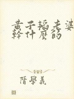 黄子韬老婆家是干什么的