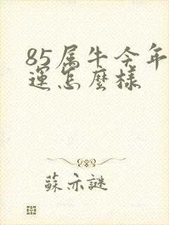 85属牛今年财运怎么样