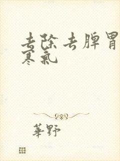 去除去脾胃湿气寒气