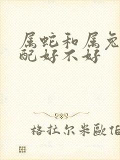 属蛇和属兔的婚配好不好封面