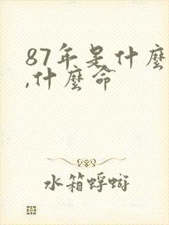 87年是什么兔,什么命