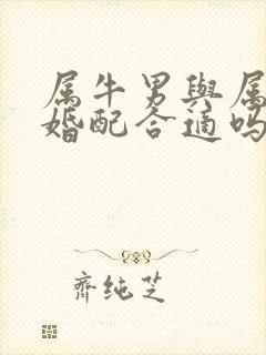 属牛男与属龙女婚配合适吗