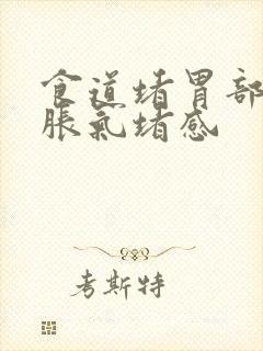 食道堵胃部以上胀气堵感