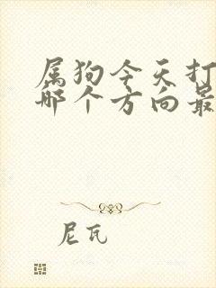 属狗今天打牌坐哪个方向最好