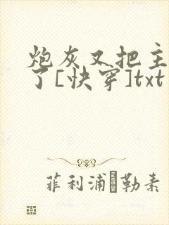 炮灰又把主角攻了[快穿]txt