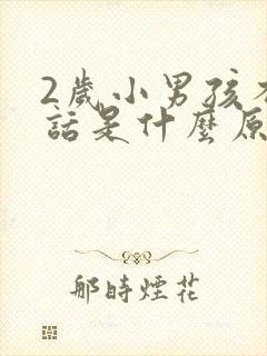 2岁小男孩不说话是什么原因