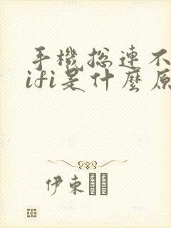 手机总连不上wifi是什么原因