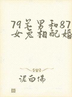 79羊男和87女兔相配婚姻如何