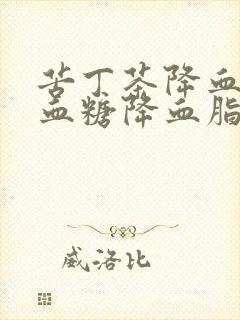 苦丁茶降血压降血糖降血脂