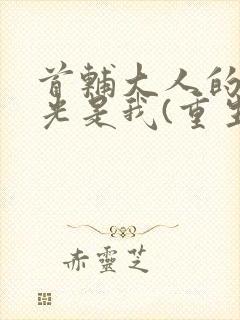 首辅大人的白月光是我(重生)