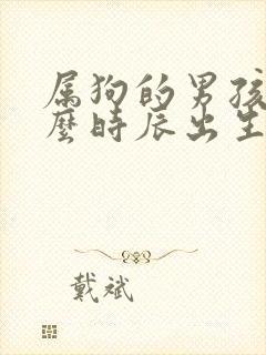 属狗的男孩子什么时辰出生好