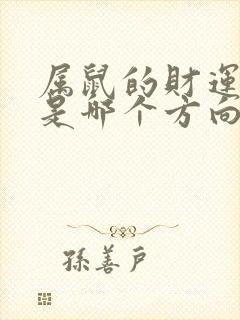 属鼠的财运方位是哪个方向