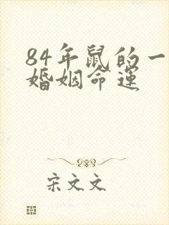 84年鼠的一生婚姻命运封面