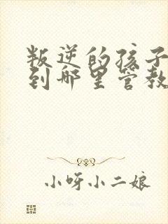 叛逆的孩子该送到哪里管教