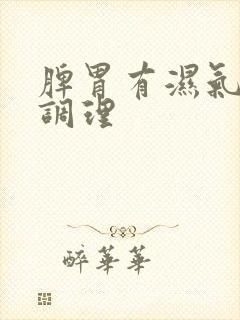 脾胃有湿气怎么调理