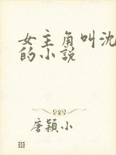 女主角叫沈清韵的小说