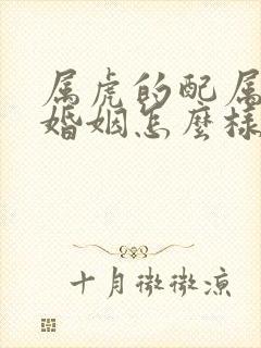 属虎的配属兔的婚姻怎么样