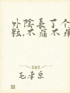 外阴长了个小肉粒,不痛不痒的