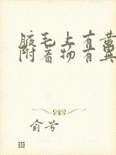 腋毛上有黄黄的附着物有异味