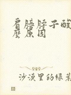 肩膀脖子酸痛什么原因