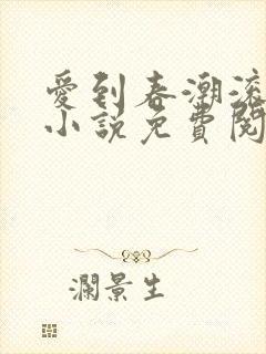 爱到春潮滚滚来小说免费阅读