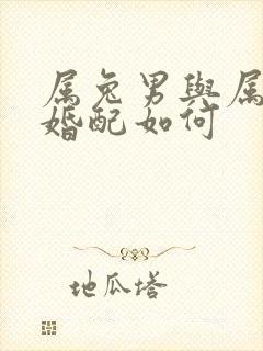 属兔男与属龙女婚配如何