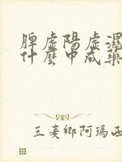 脾虚阳虚湿盛吃什么中成药