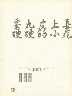 睾丸皮上长一个硬硬的小疙瘩