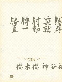 胳膊肘突然伸不直一动就疼怎么办封面