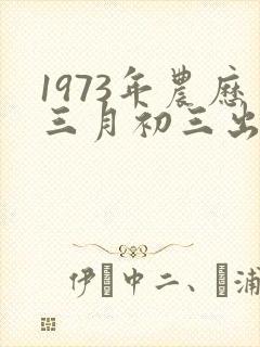 1973年农历三月初三出生是什么命