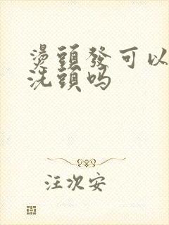 烫头发可以天天洗头吗封面