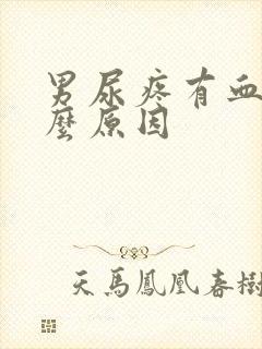 男尿疼有血是什么原因